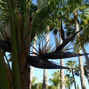 Baja2011 098 : Baja2011